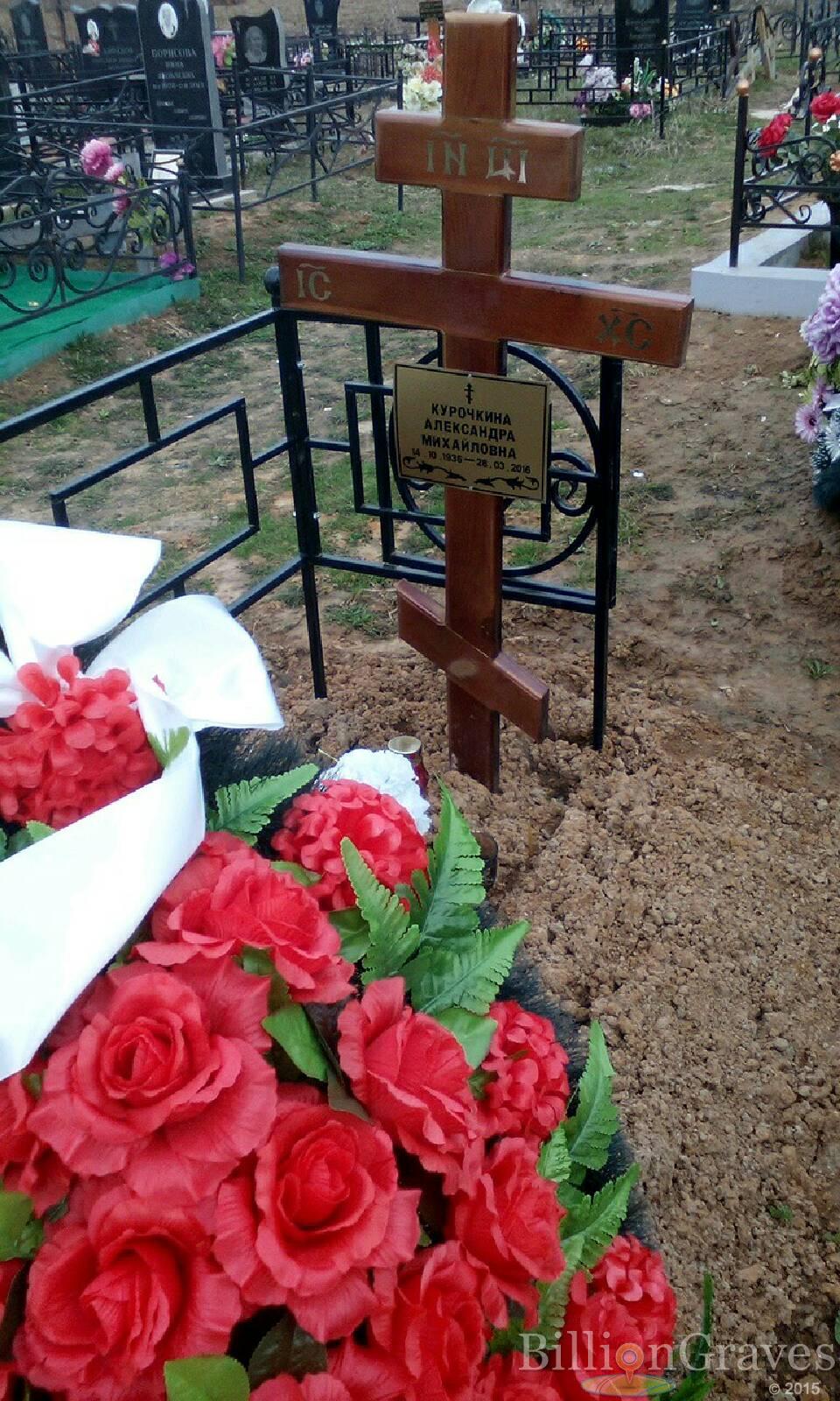 курочкина александра михайловна