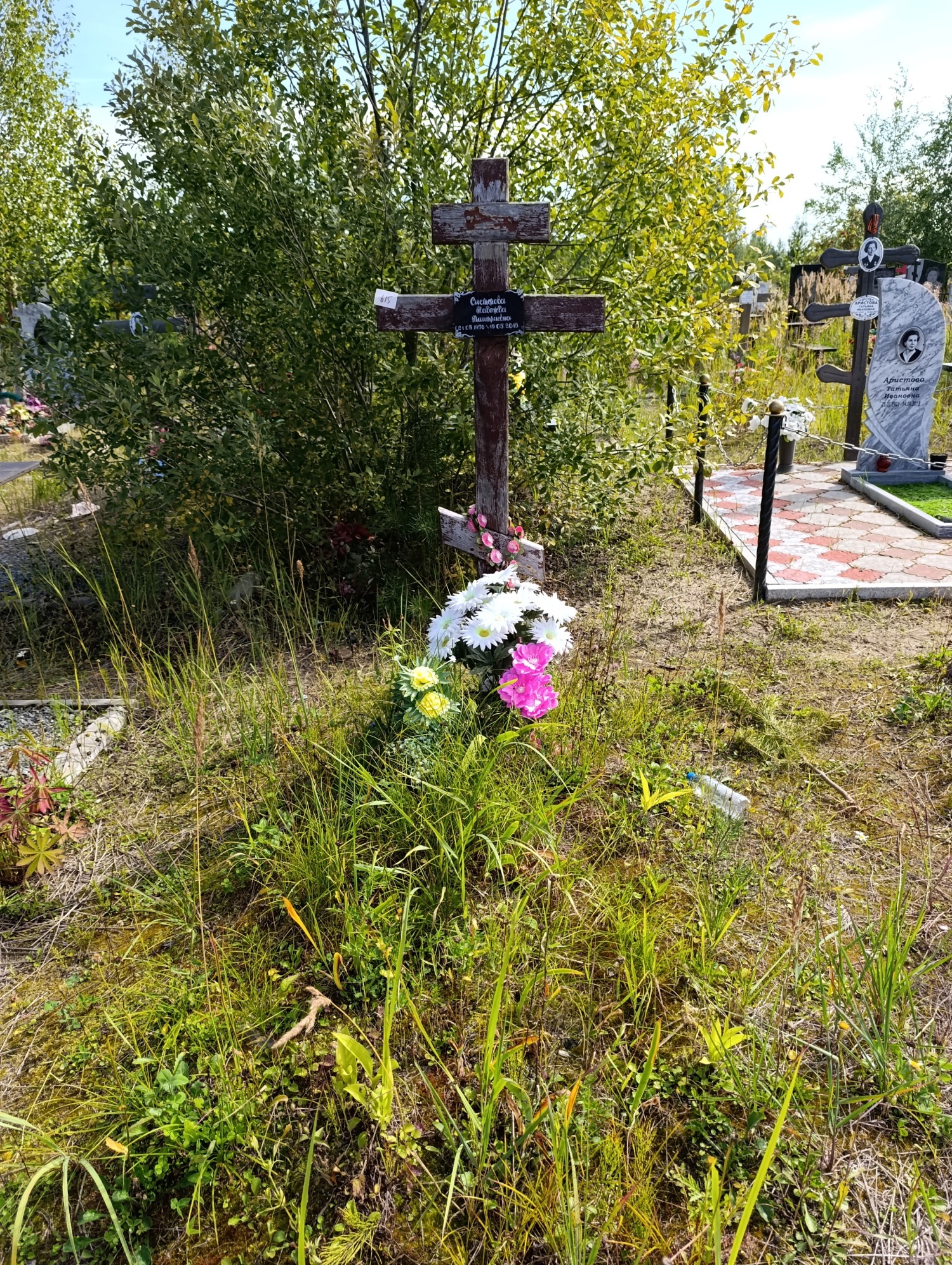 Сыстелова Надежда Дмитриевна