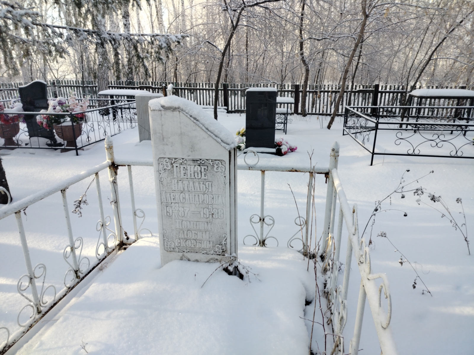 Гензе Наталья Александровна