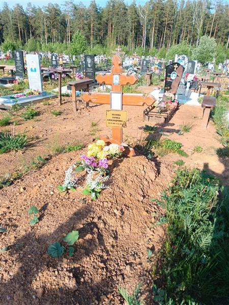 Козлова Лариса Александровна