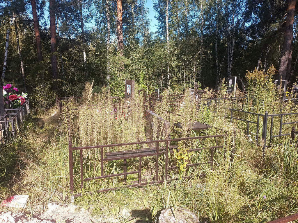 Сергейчева Татьяна Дмитриевна