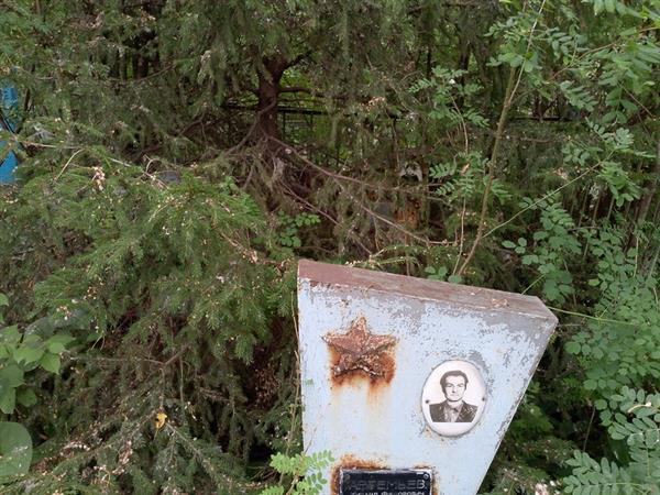 Артемьев Михаил Федорович