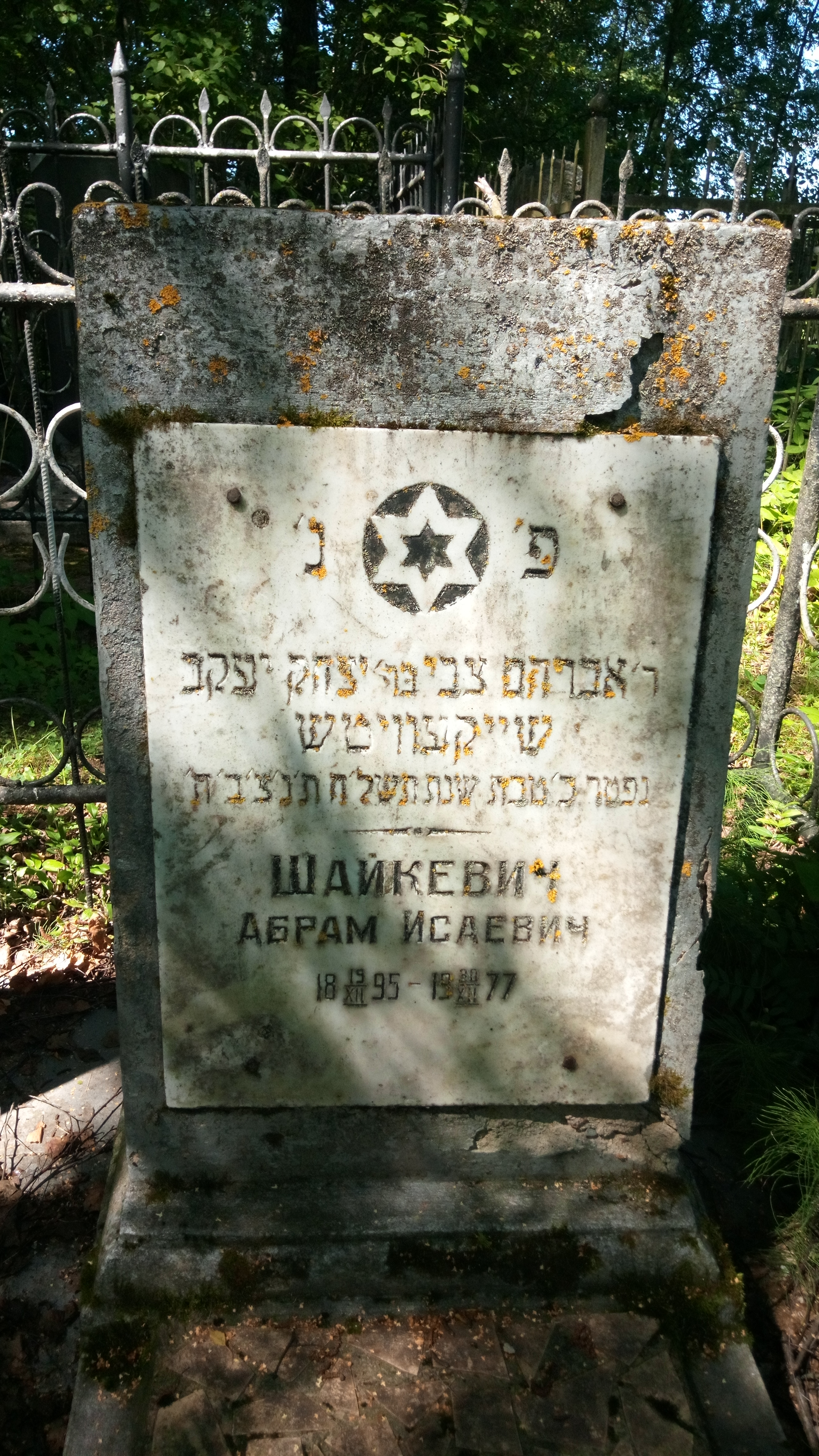Шайкевич Абрам Исаевич