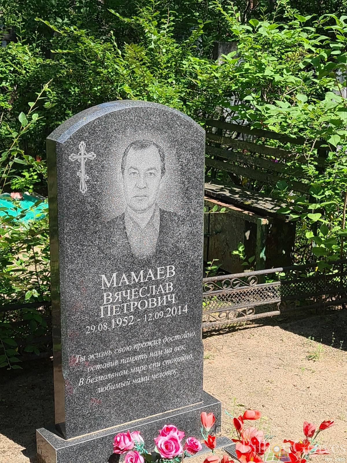 Мамаев Вячеслав Петрович