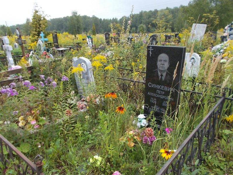 Синкевич Петр Александрович