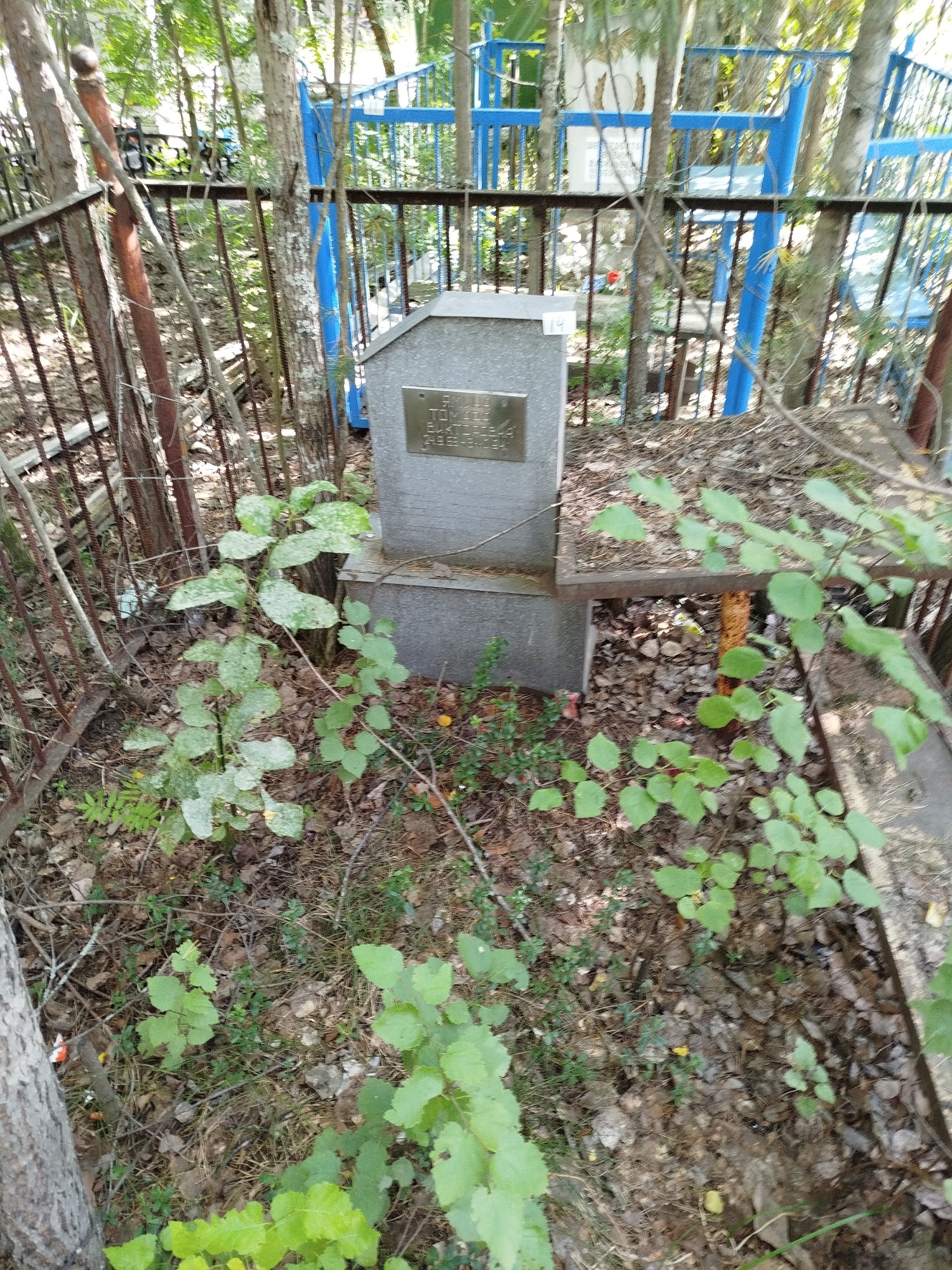 Ямина Томара Викторовна