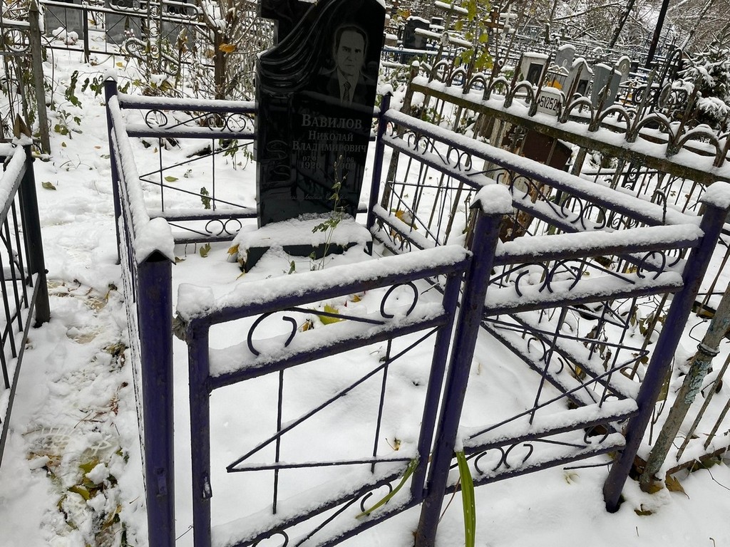 Вавилов Николай Владимирович