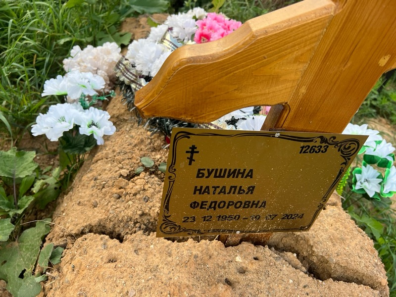 Бушина