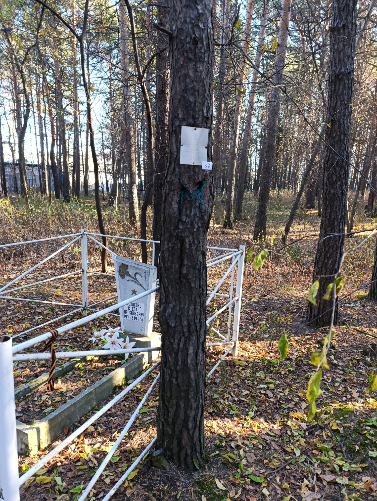 Попова Екатерина Дмитриевна
