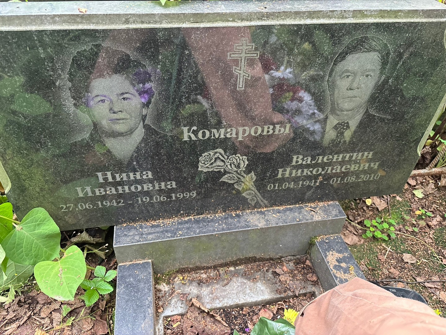 Комаров