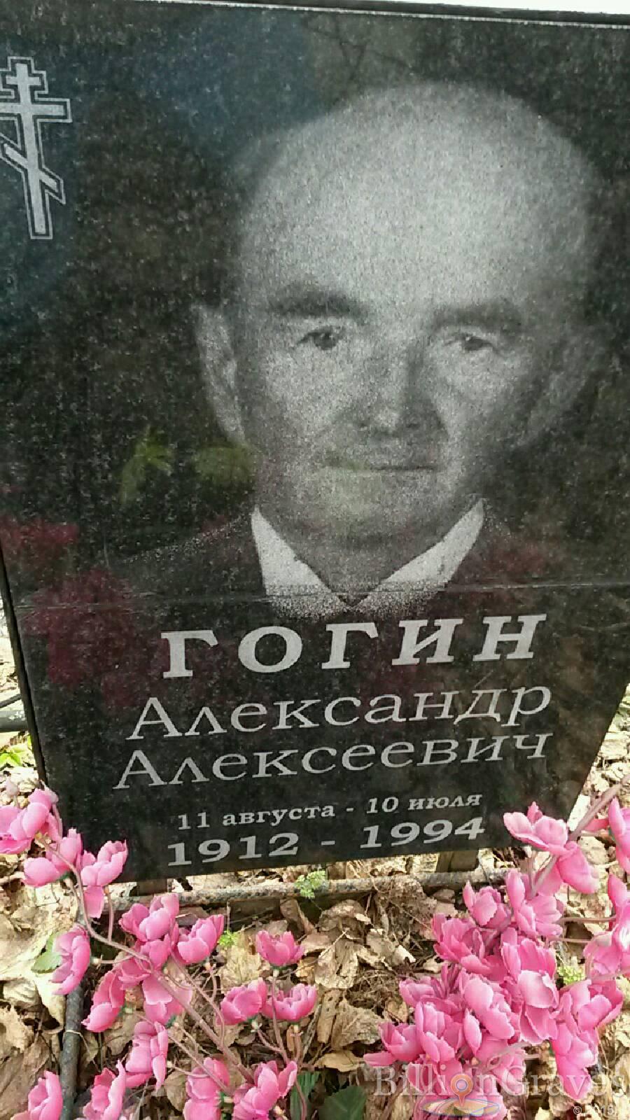 Гогин Александр алексеевич