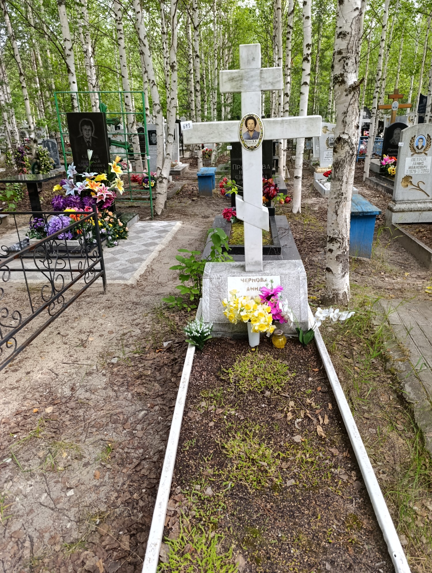 Чернова Анна Аристарховна