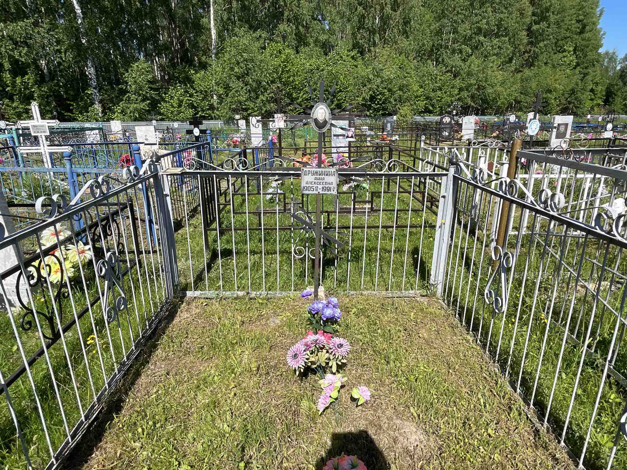 Дружинина Анна Алексеевна