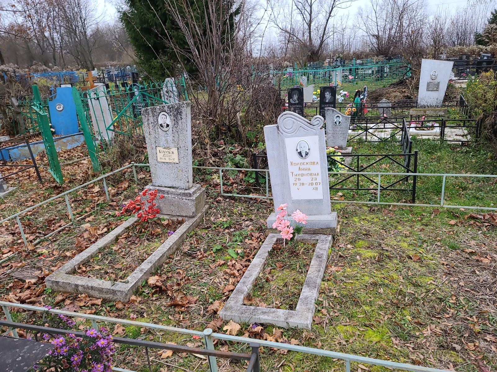 Колоскова Анна Тихоновна