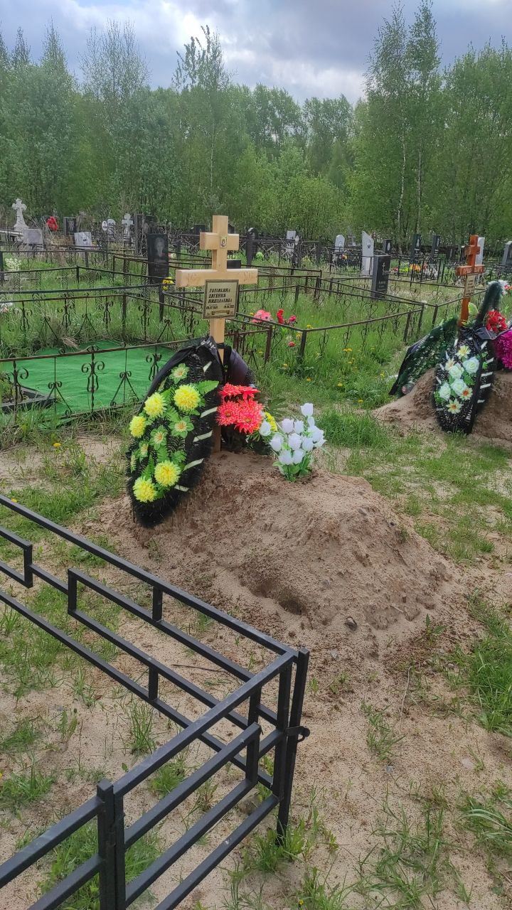 Головкина Евгения Николаевна
