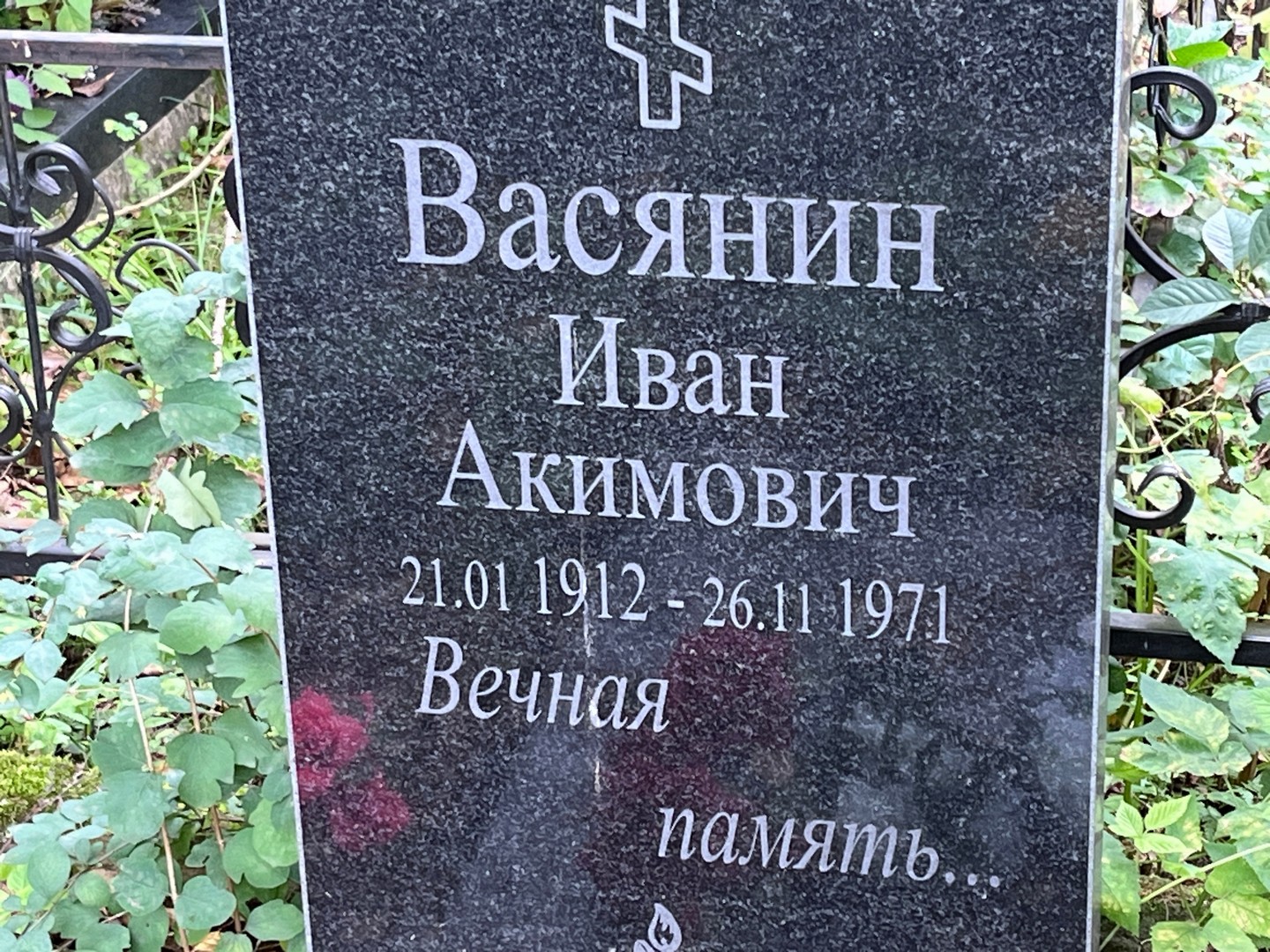 Васянин