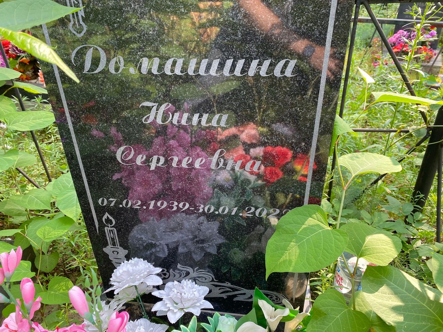 Домашина