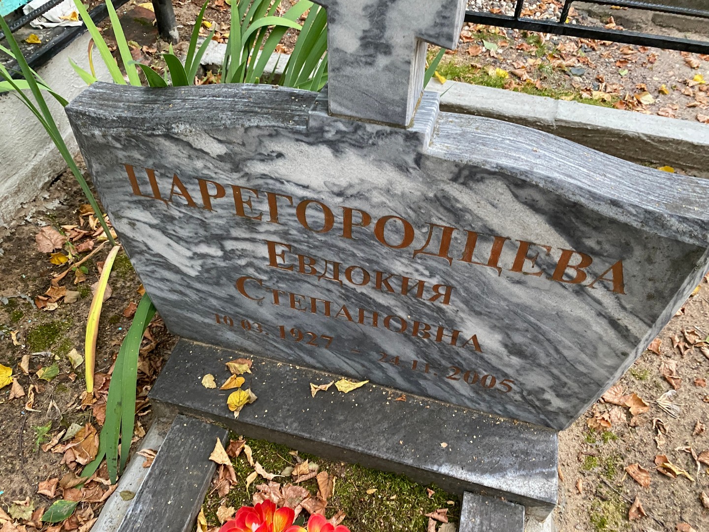 Царегородцева