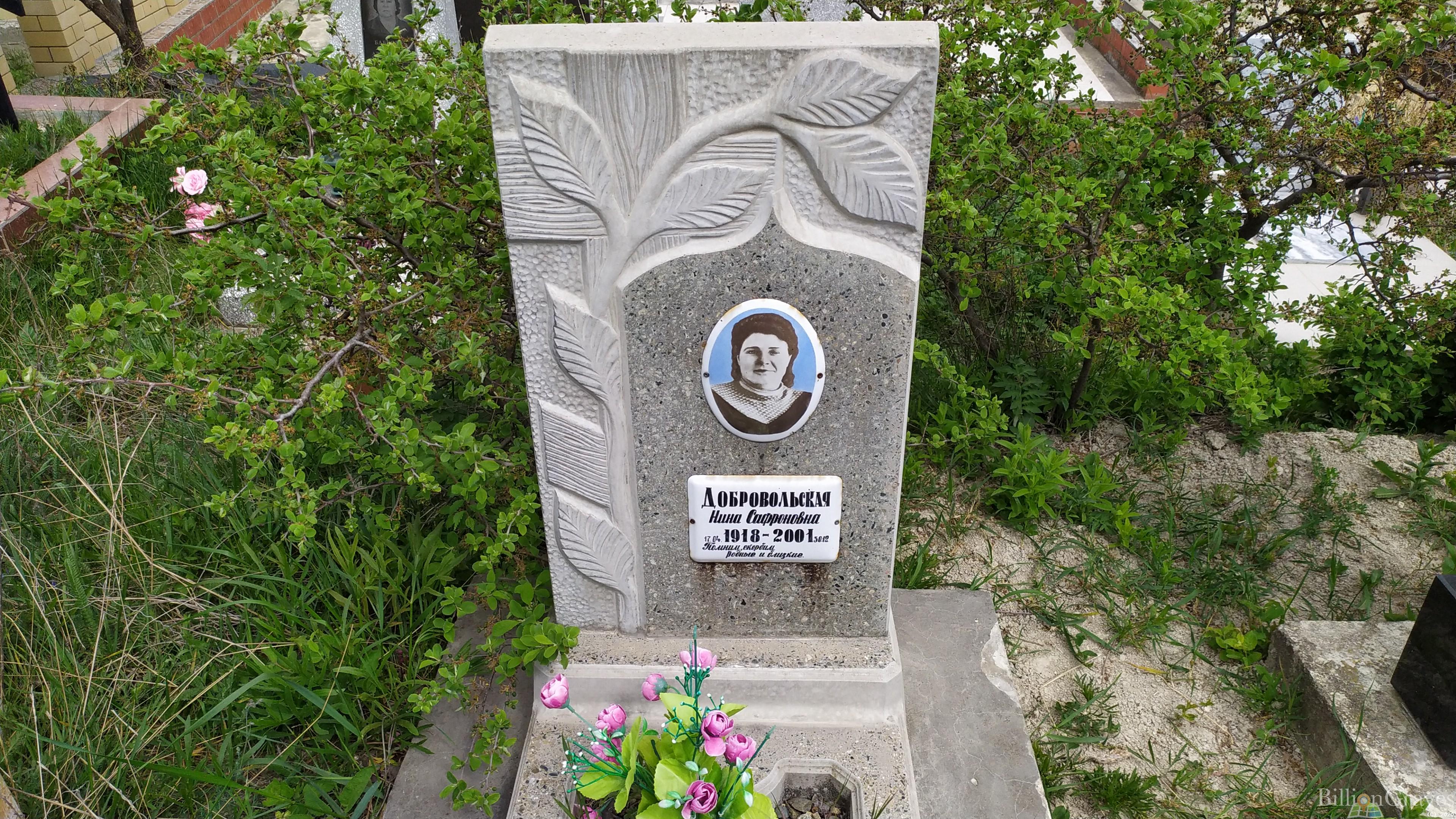 Добровольская Нина Сафроновна