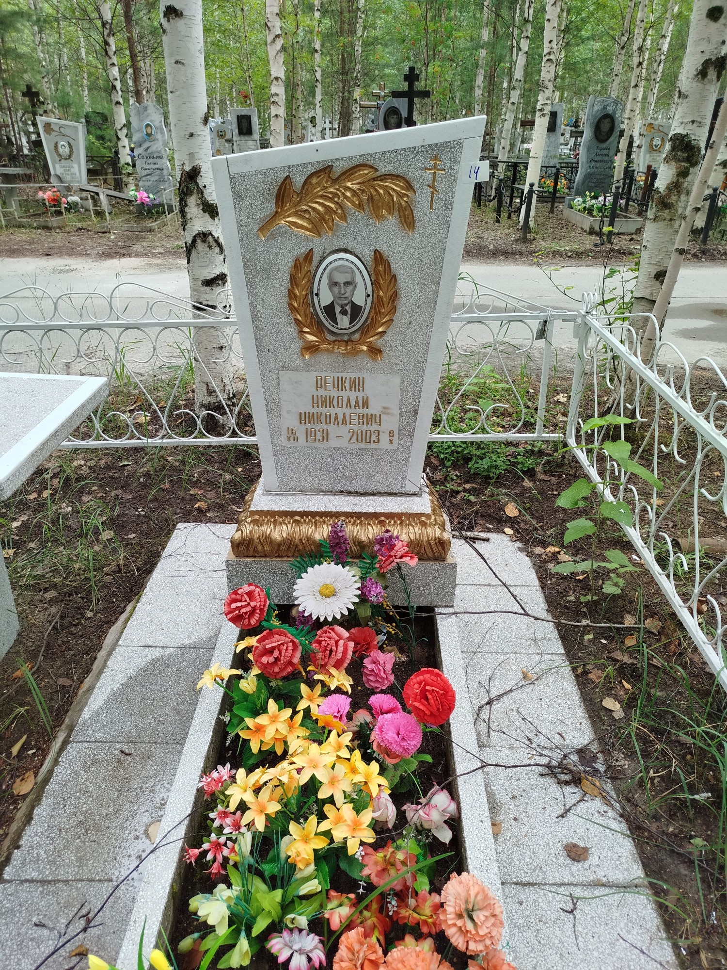 Речкин Николай Николаевич