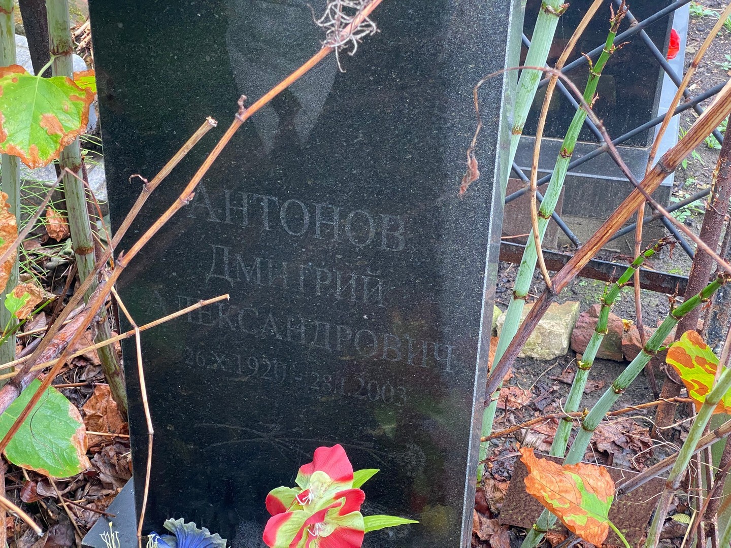 Антонов