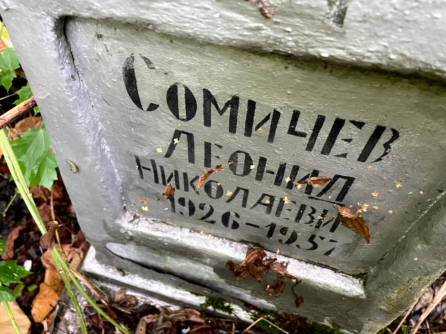 Сомичев