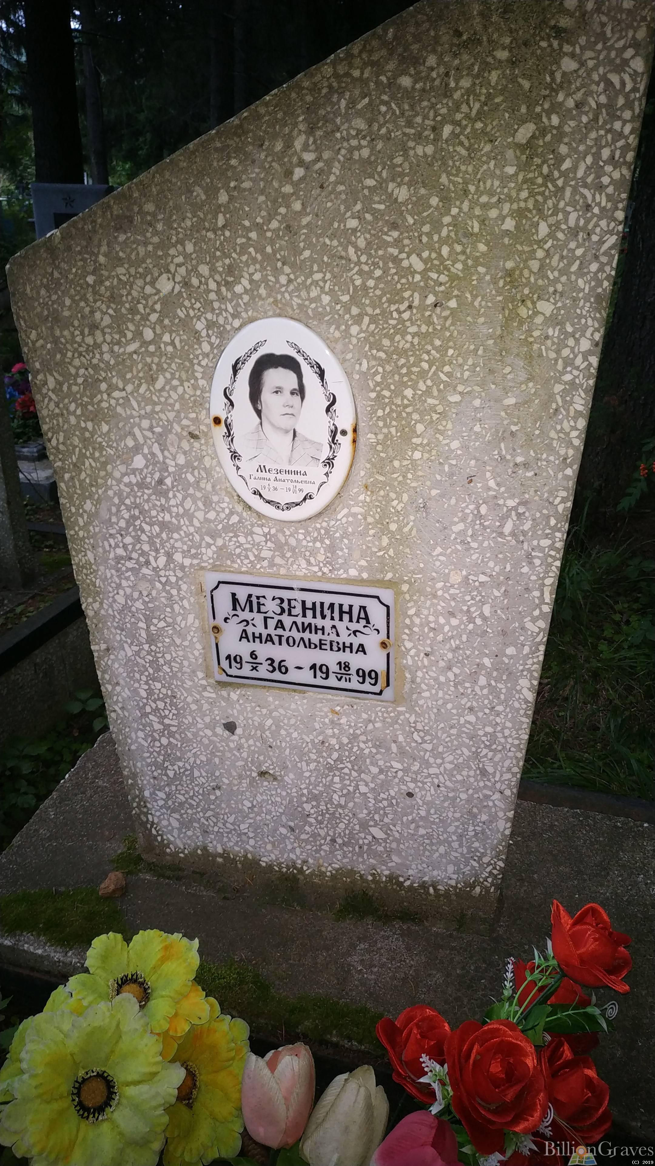 Мезенина Галина Анатольевна