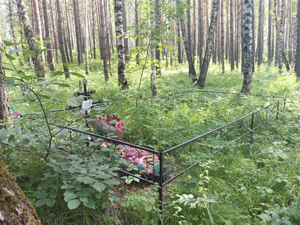 Долгов Василий Геннадьевич