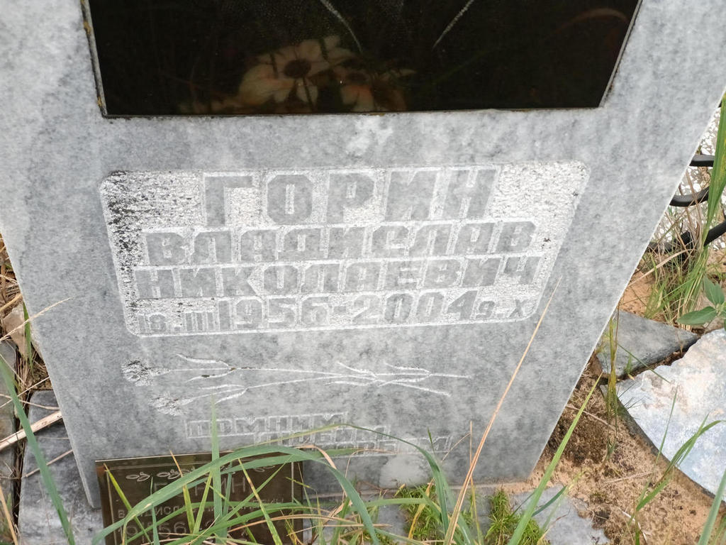Горин Владислав Николаевич