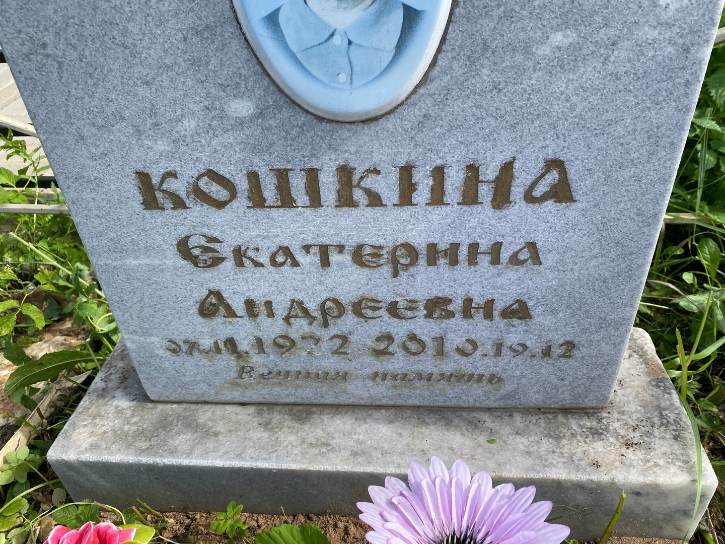 Кошкина