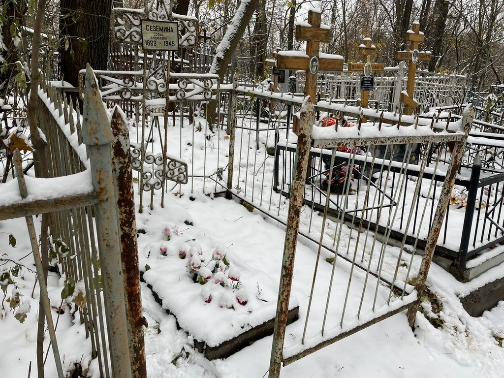 Сеземина София Андреевна