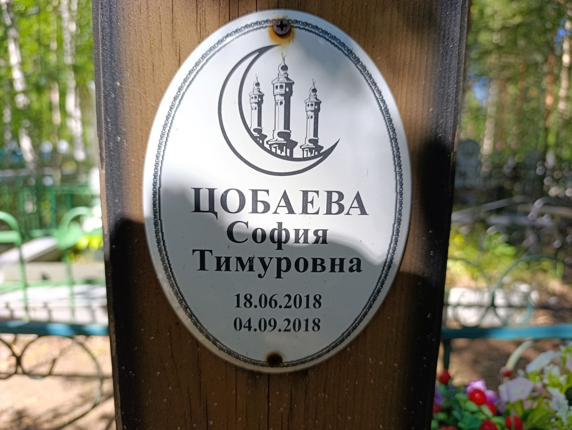 Цобаева Совия Тимуровна