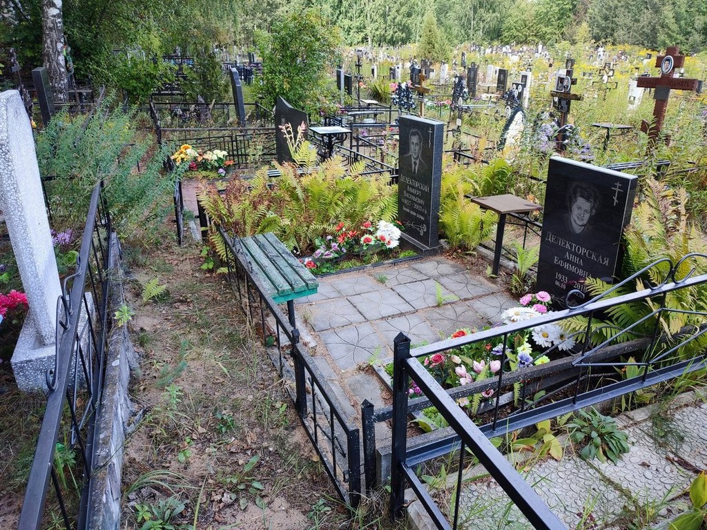 Делекторский Альберт Васильевич