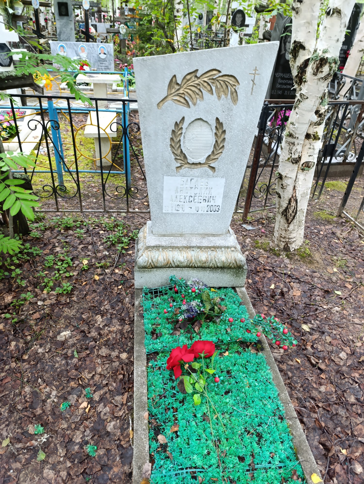 Багаев Анатолий Алексеевич