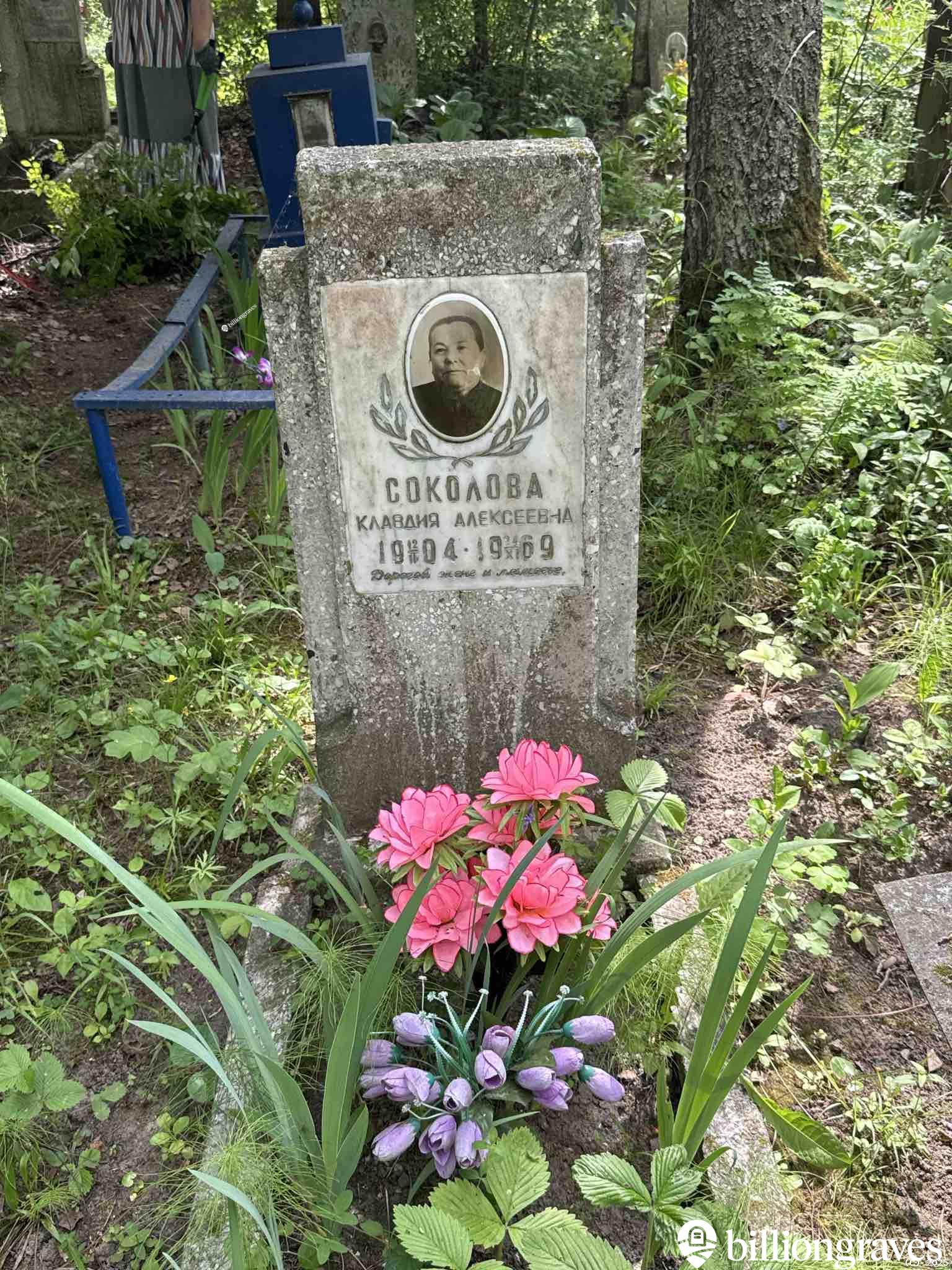Соколова Клавдия Алексеевна