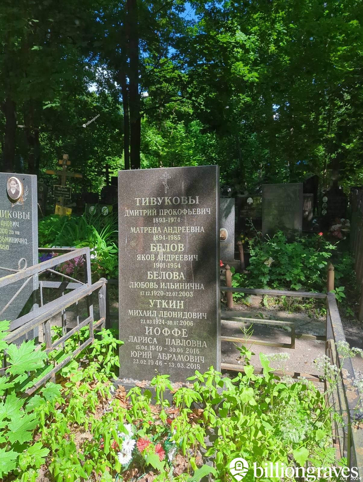Иоффе Лариса Павловна