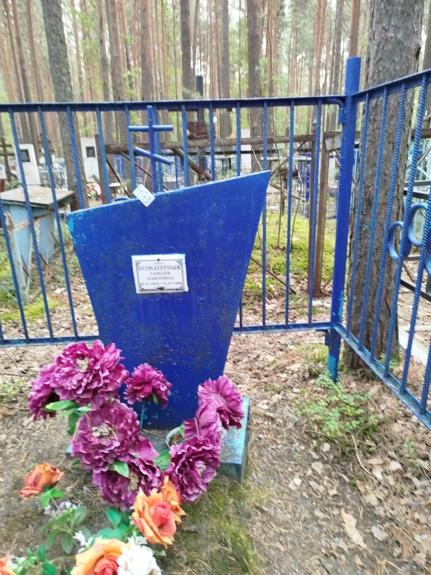 Безматерных Таисия Павловна