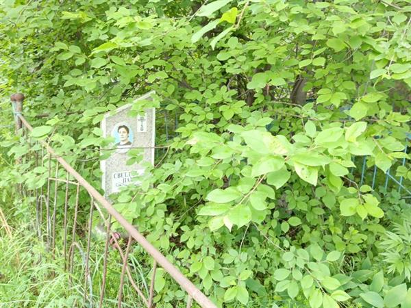 Воронцова Пелагея Федоровна