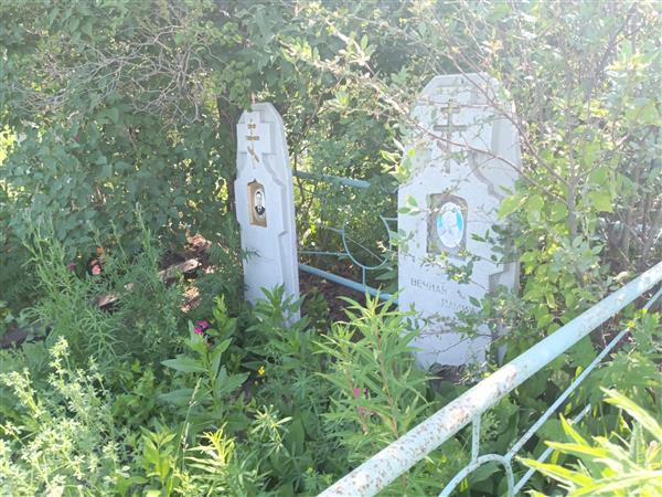 Бачинская Александра Васильевна