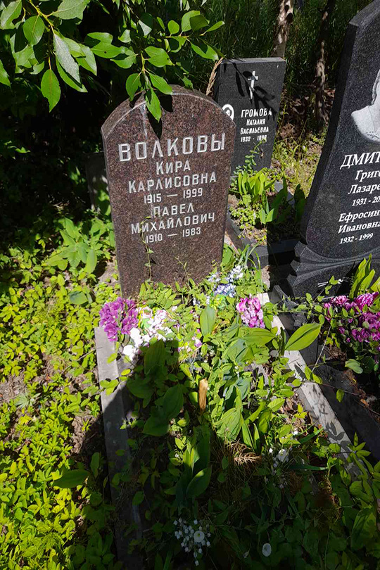 Волкова Кира Карлисовна