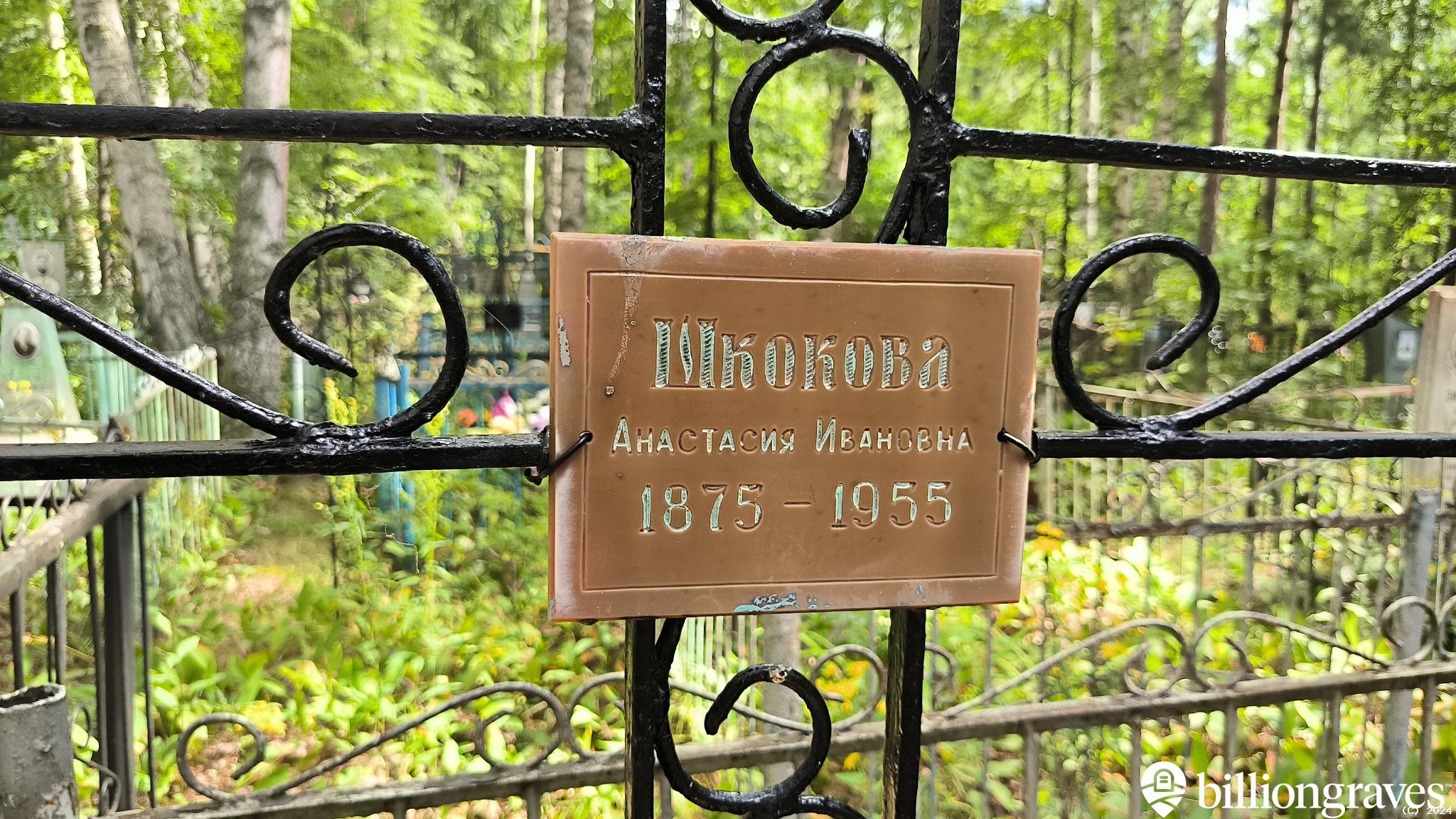 Шкокова Надежда Дмитриевна