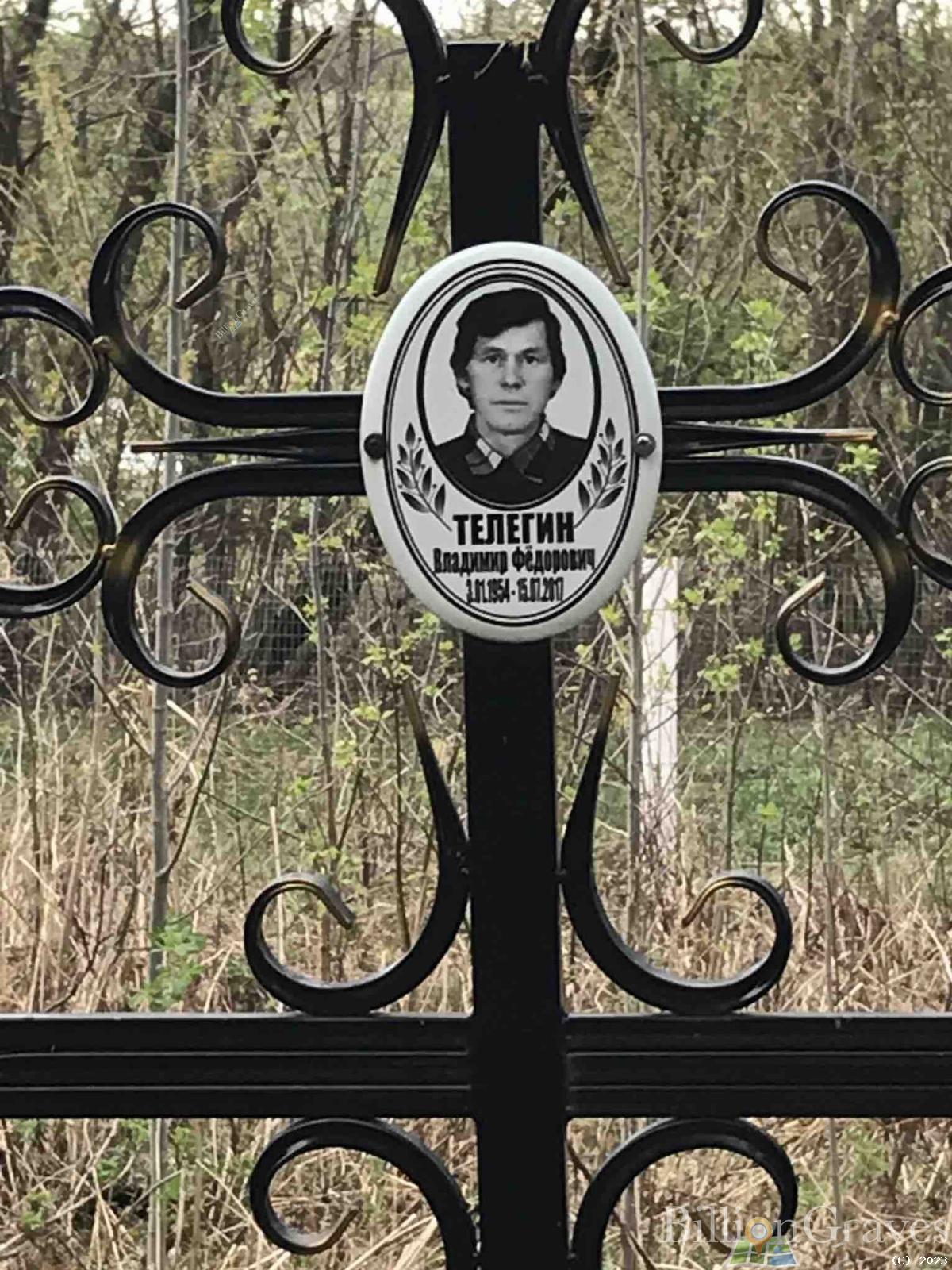 Телегин Владимир Фёдорович