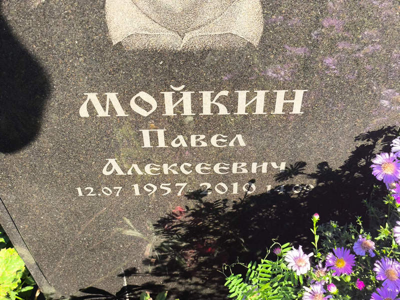Мойкин