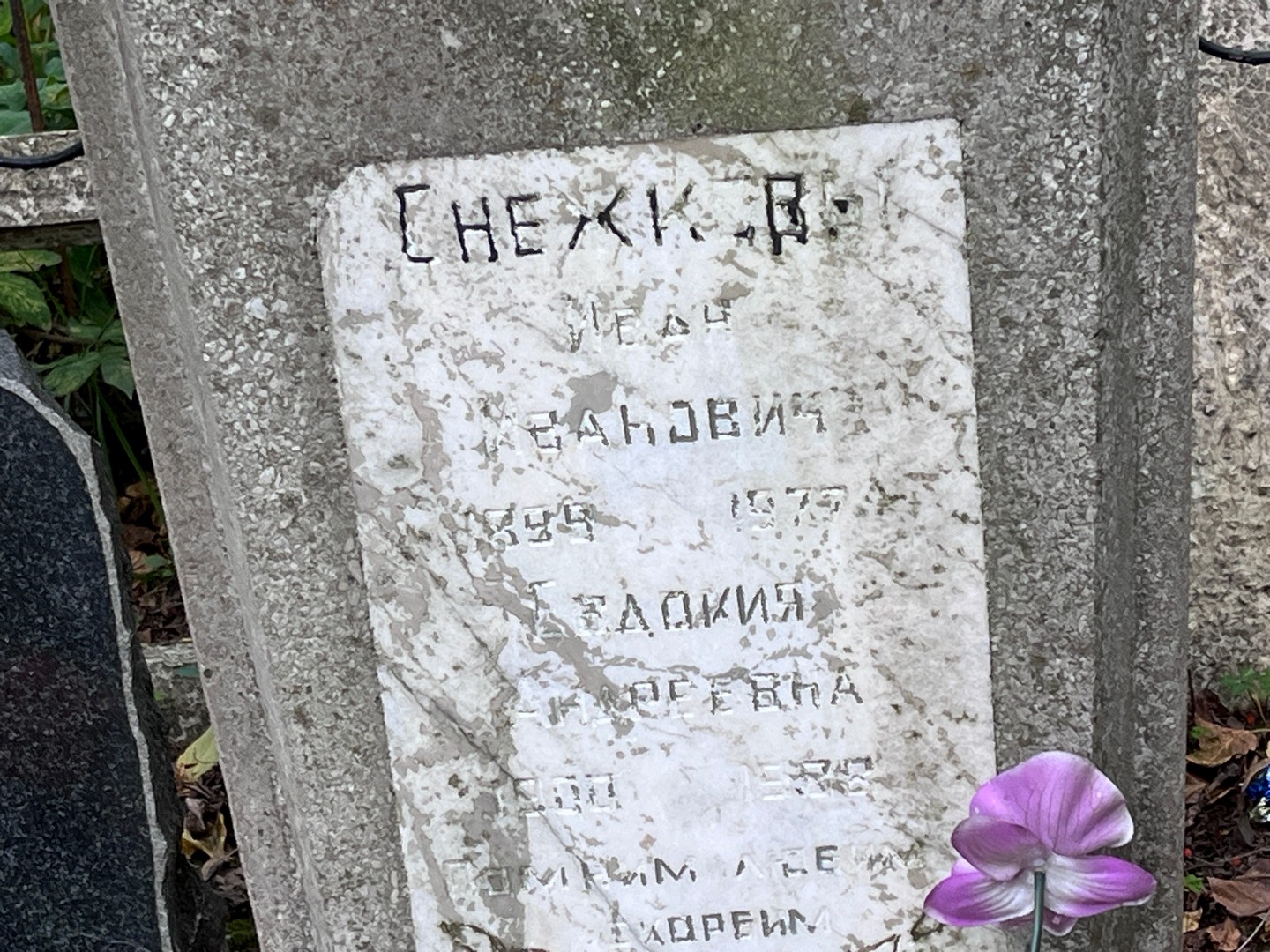 Снежков