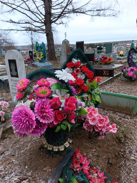 Борюшкина Валентина Андреевна