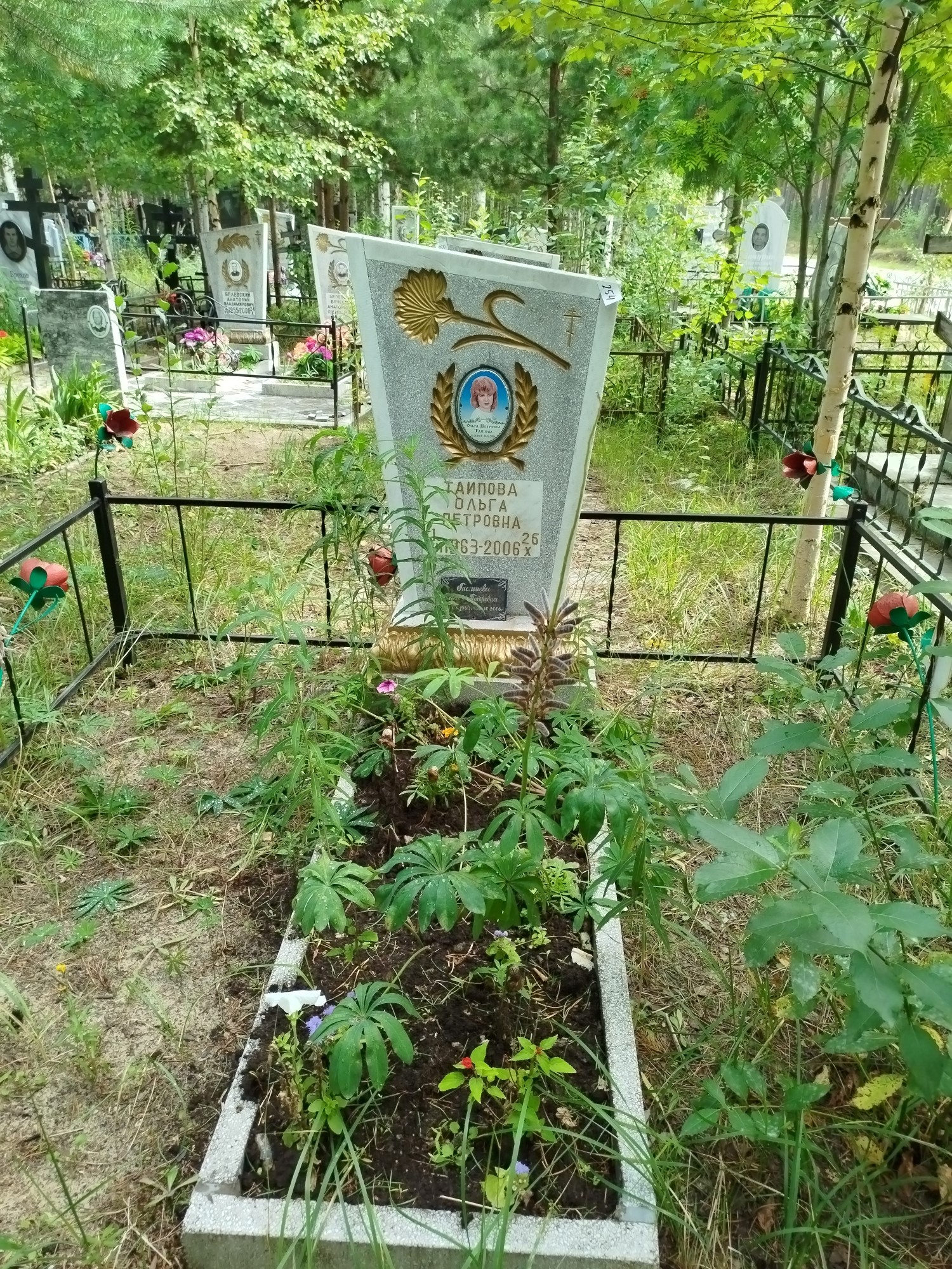 Таипова Ольга Петровна