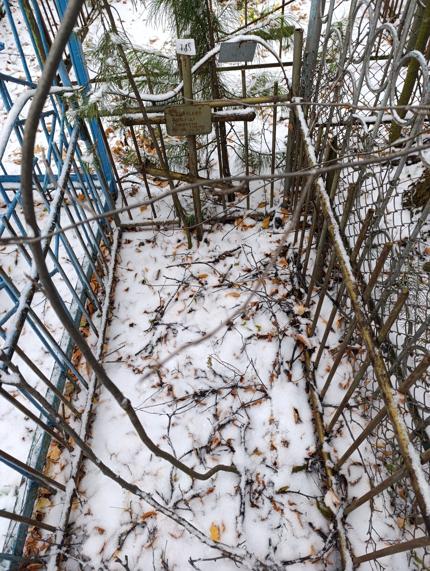 Синявский Александр Людвигович