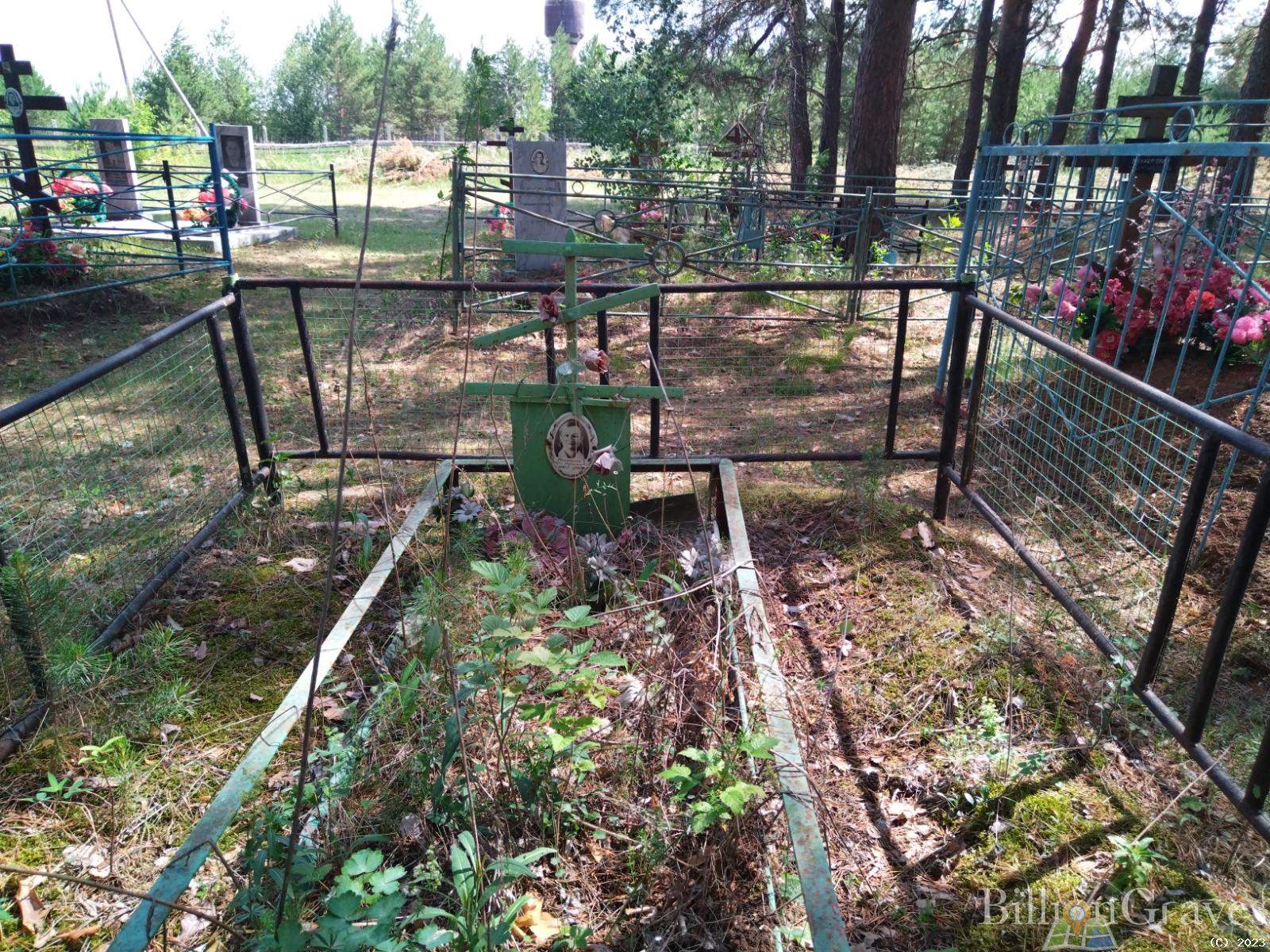 Мезенова Вера Николаевна