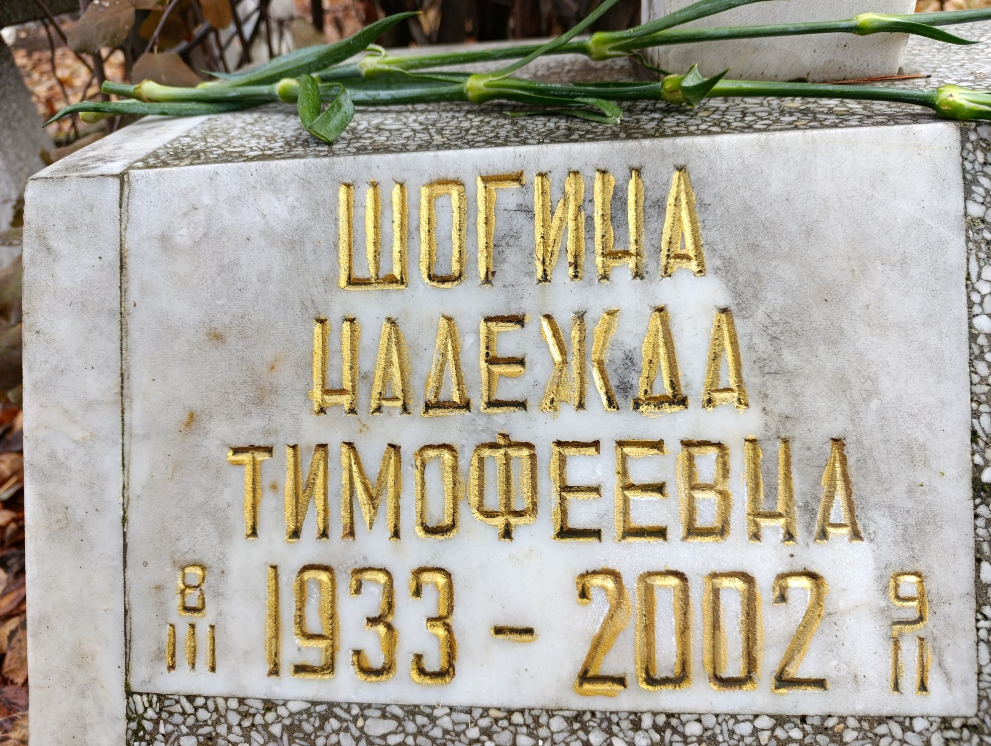 Шогина Надежда Тимофеевна