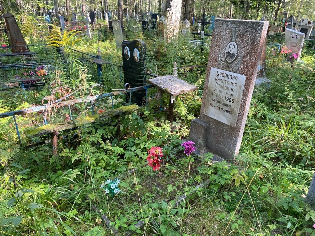 Сусанова Анастасия Павловна